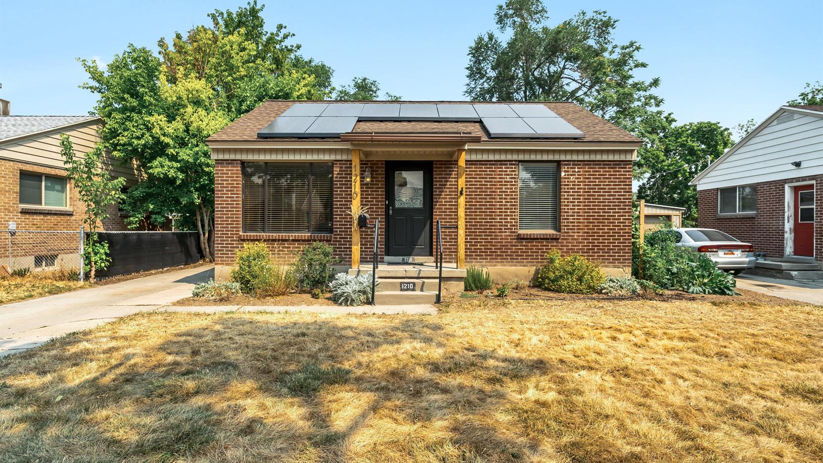 In Rose Park Pick of the Bunch